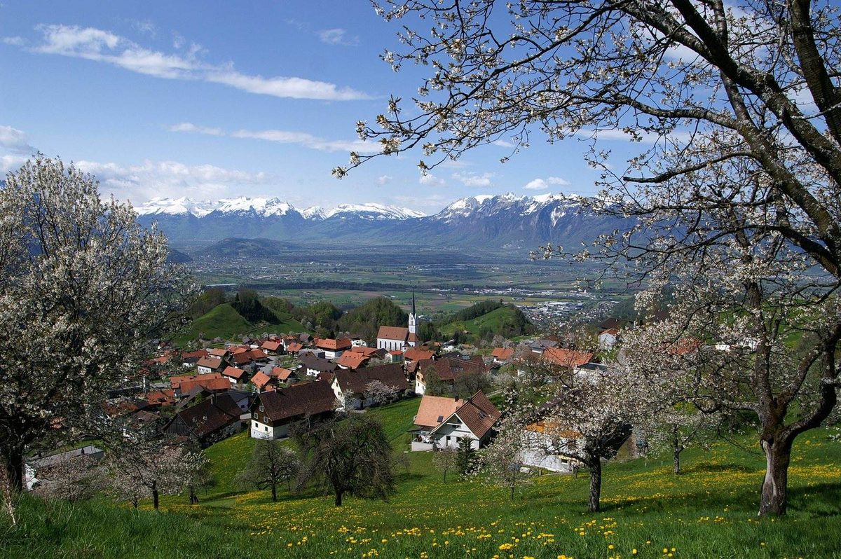 Wohnhäuser über einem Alpental in Vorarlberg und im Hintergrund eine Stadtsilhouette, Sinnbild für Preisunterschiede zwischen Bundesländern