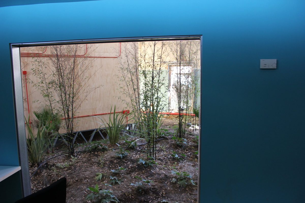 Interior de una vivienda en Madrid con pared azul, termostato y un ventanal que da a un patio de bambú, el tipo de piso que valora una tasación